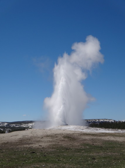 spring-in-yellowstone