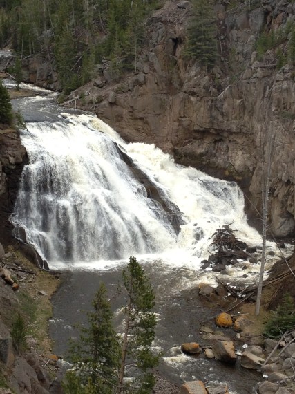 Spring-in-Yellowstone