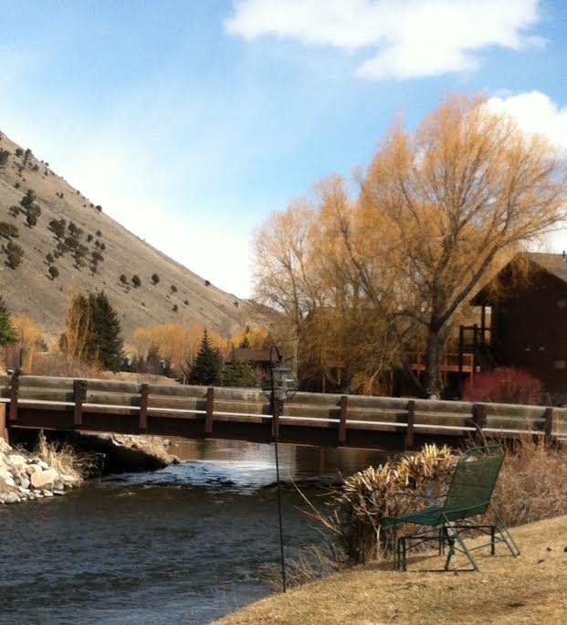 spring at our jackson hole b&b