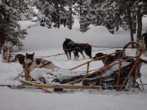 Jackson Hole Winter Activities