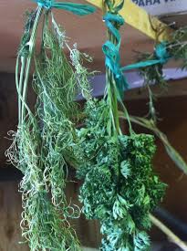 jackson-hole-b&b-herbs