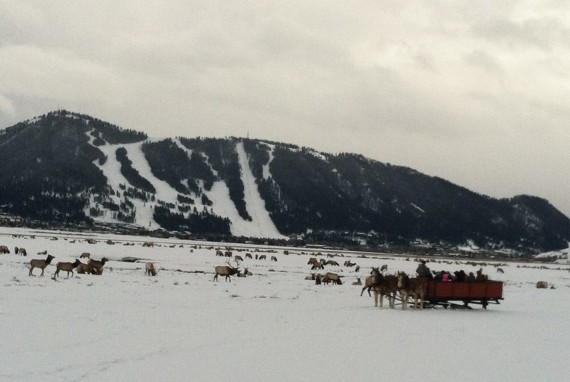 jackson-hole-winter-activities-sleigh-rides