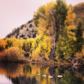 fall-in-jackson-hole