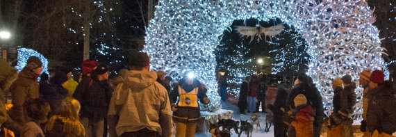 jackson-hole-winter-events-dog-sled