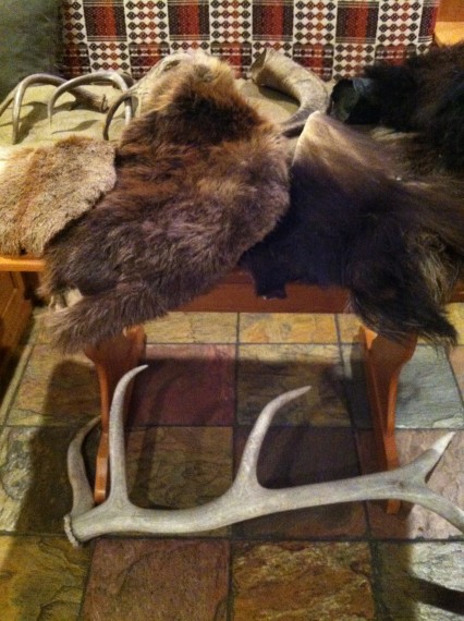 Jackson-Hole-Activities-Naturalist-Night-props