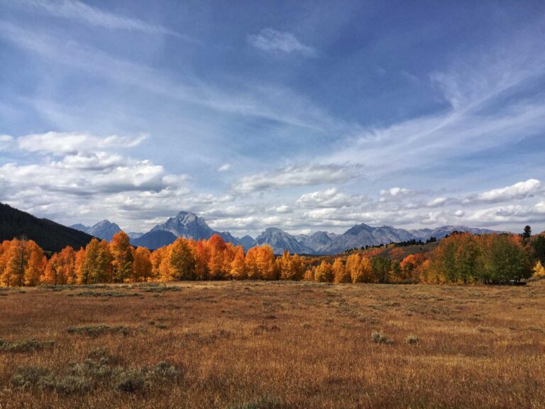 Golden autumn leaves reflecting on still water at Oxbow Bend in Grand Teton National Park. - Inn on the Creek - Jackson Hole Bed and Breakfast