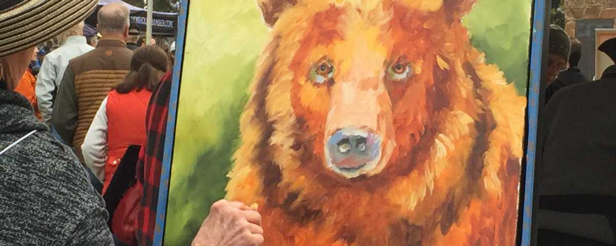 jackson hole fall activities quick draw