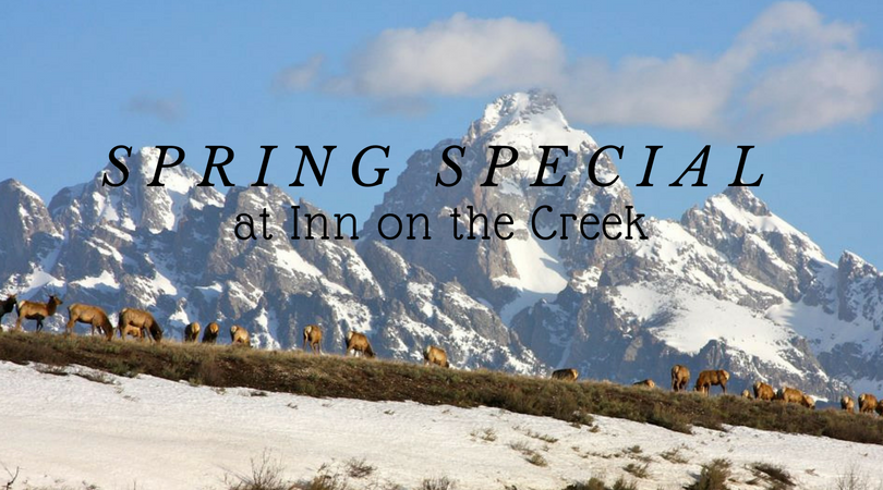 jackson hole lodging special