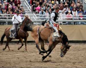Jackson Hole western activities