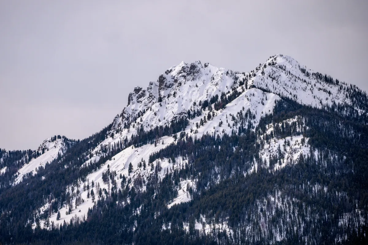 1 cols small winter inn on the creek - Inn on the Creek - Jackson Hole Bed and Breakfast