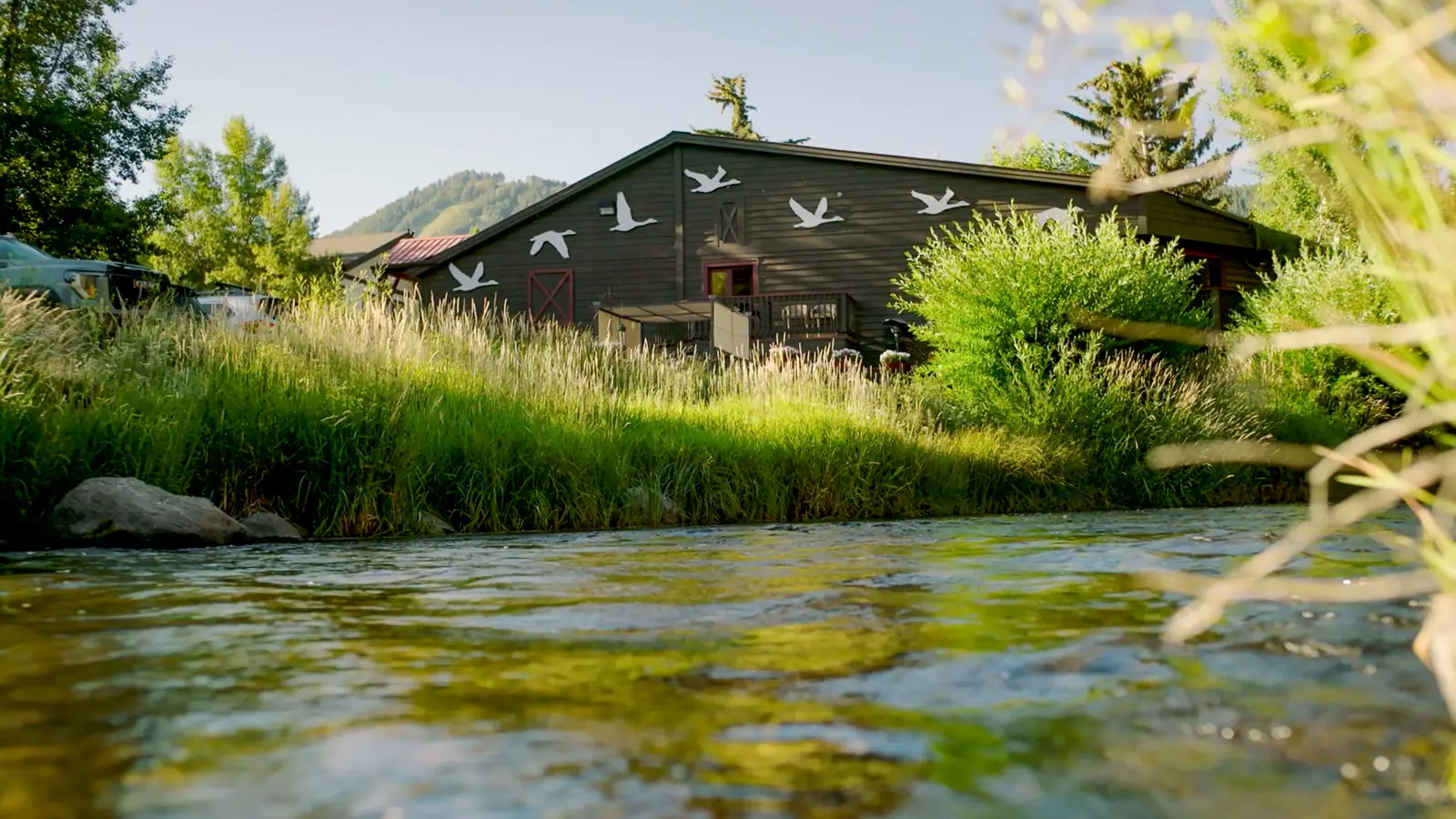 Creekside lawn and garden at Inn on the Creek Jackson Hole