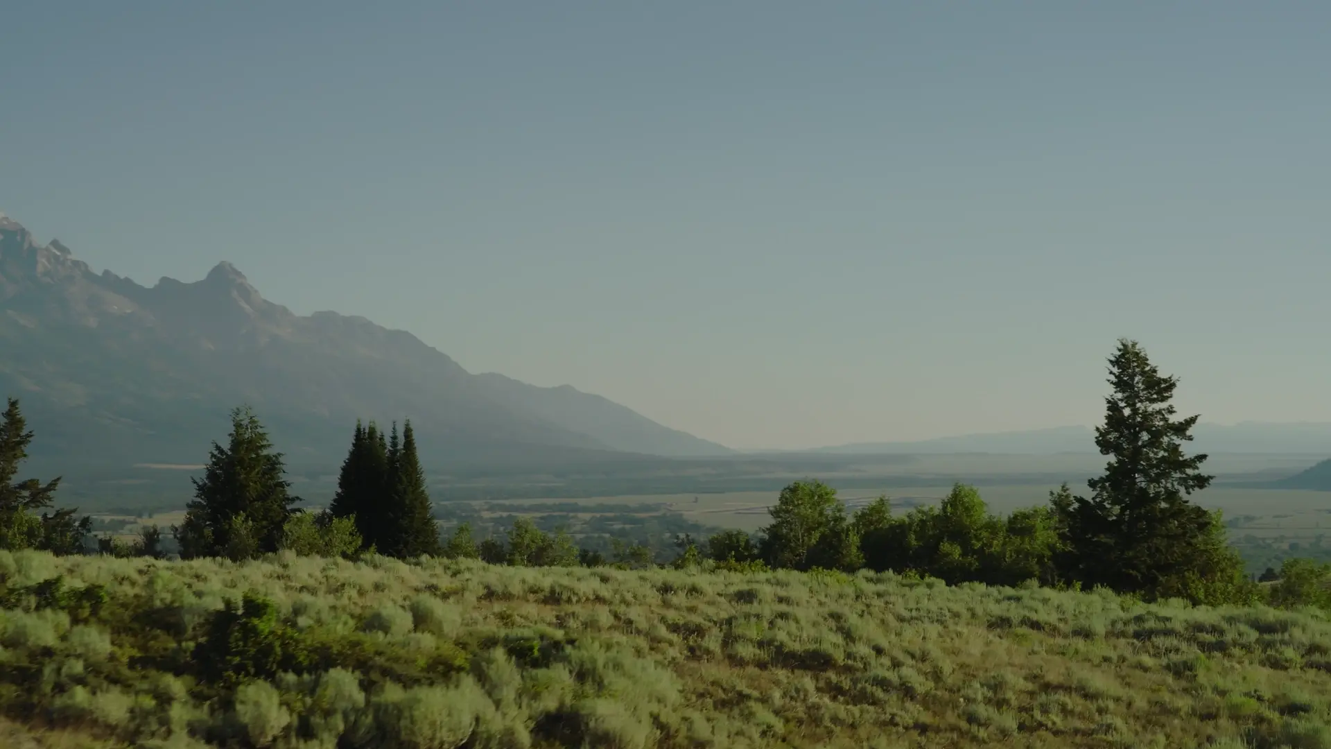 Aerial view of Jackson Hole in summer