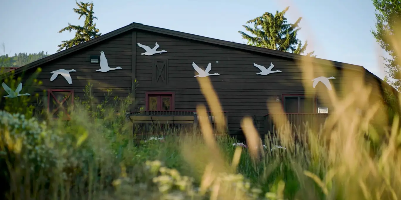 Jackson Hole Area Info   Fall Spring