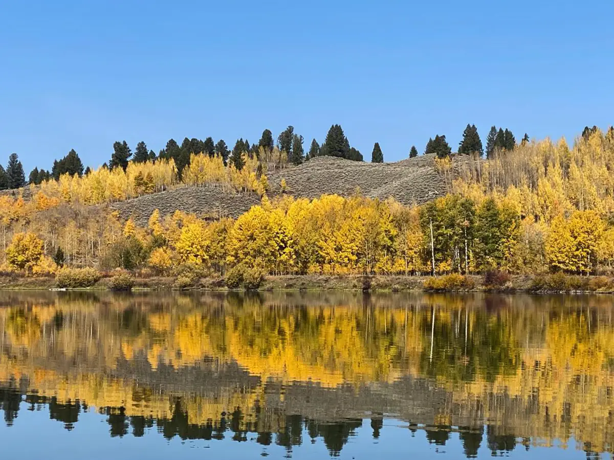 Jackson Hole Area Info   Fall Spring