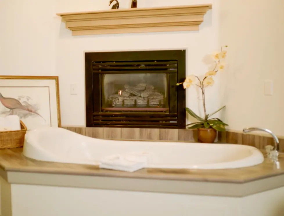 Jackson Hole Area Information