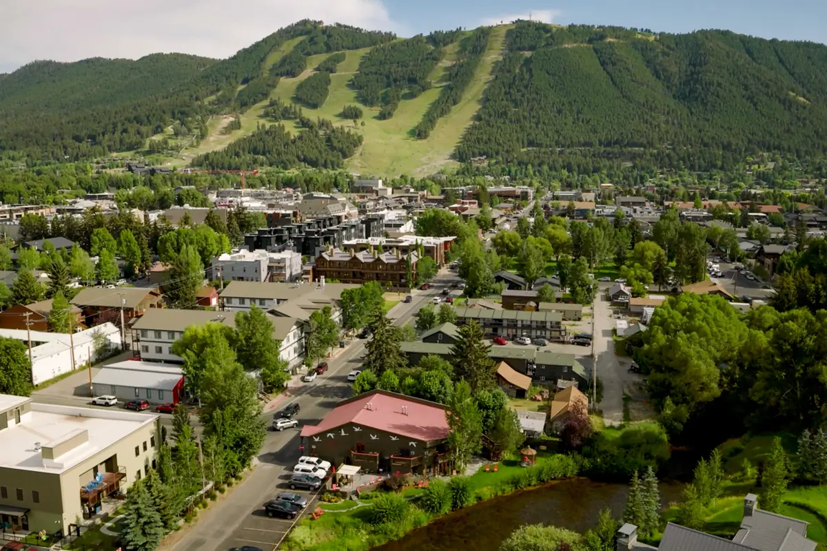 Car-Free Convenience